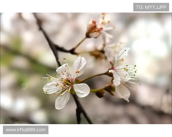 遇见春暖花开,遇见更好的自己 遇见春暖花开,遇见更好的自己
